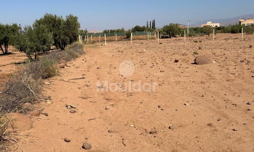 أرض للبيع في مراكش: فرصة استثنائية - view 3