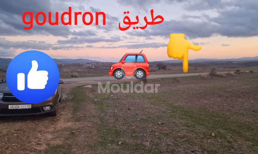 أراضٍ زراعية للبيع في القصر الكبير - 140,000 م²