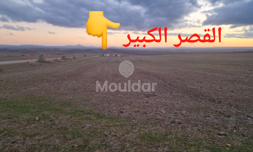 أراضٍ زراعية للبيع في القصر الكبير - 140,000 م²