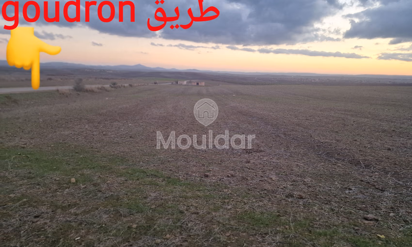 أراضٍ زراعية للبيع في القصر الكبير - 140,000 م²