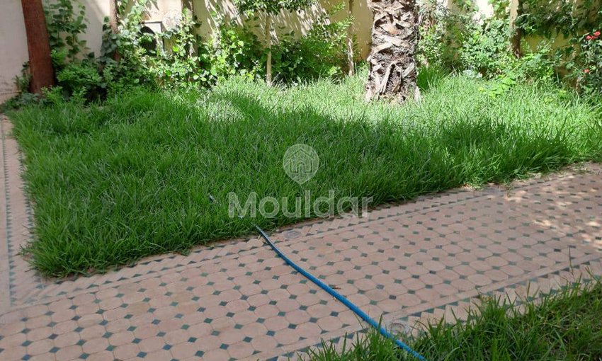 Marrakeş'te Lüks Villa: 5 yatak odası, bahçe ve teras - view 10