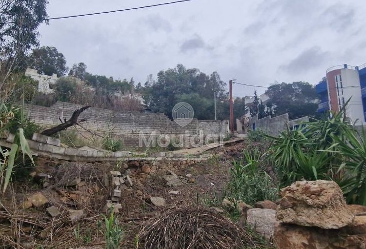 Terreno à venda em Tânger - Achakar: Oportunidade Vila - view 2