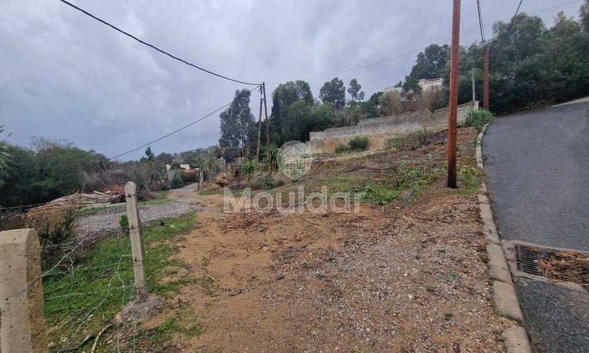 Terreno à venda em Tânger - Achakar: Oportunidade Vila - view 3