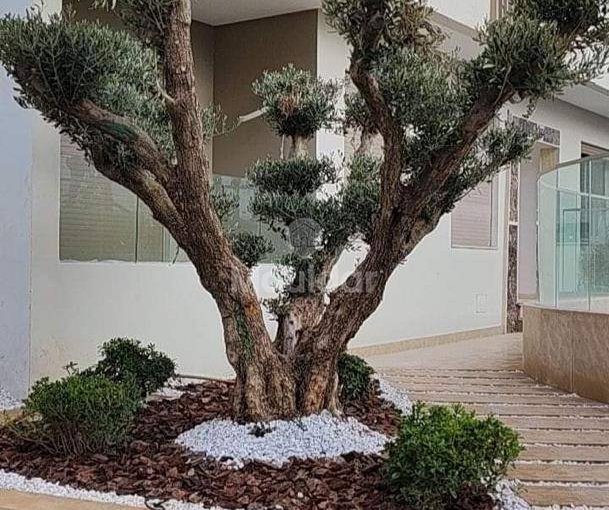 شقة للإيجار في سيدي رحال مع تراس ساحر - view 8