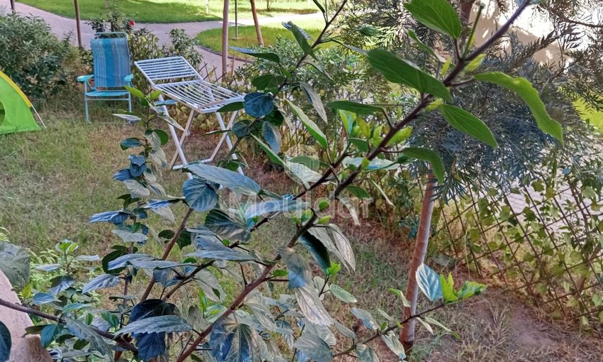 Strahlendes Studio in Marrakesch: Komfort und Entspannung garantiert - view 20