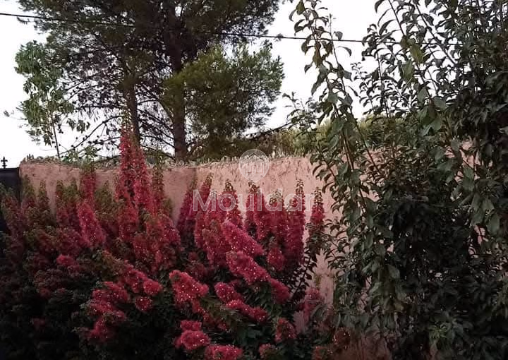 Modern Villa in Marrakech: 2 Bedrooms with Garden and Terrace