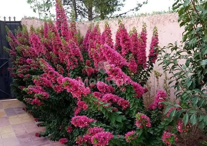 فيلا حديثة في مراكش: 2 غرف نوم مع حديقة وتراس - view 18