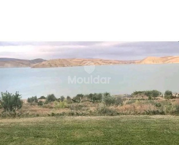 Ferme à Vendre à Khemisset : Espace, Confort et Nature - view 9