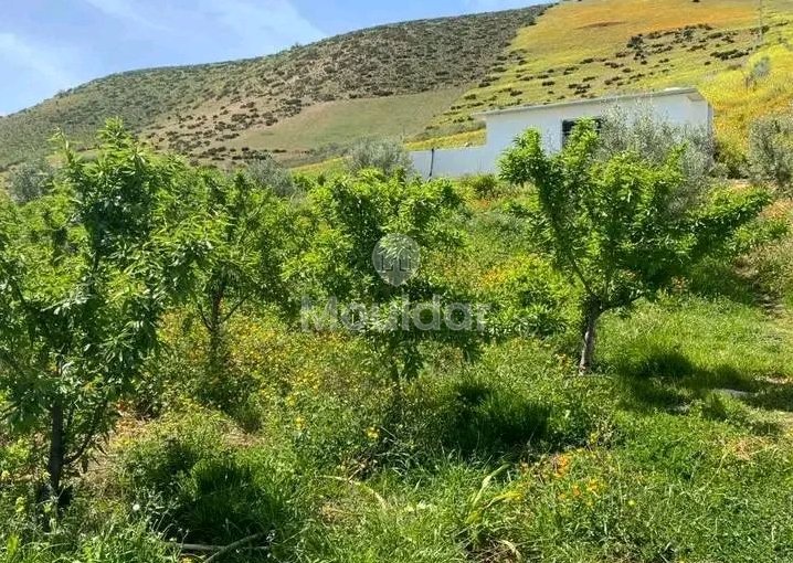 Ferme à Vendre à Khemisset : Espace, Confort et Nature - view 8