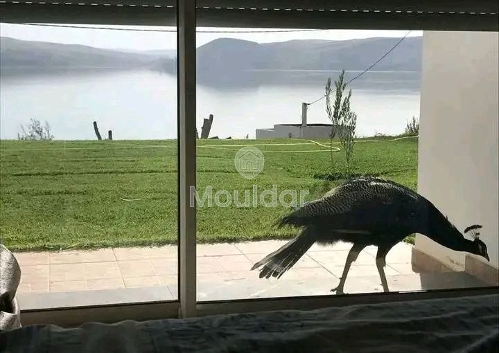 Ferme à Vendre à Khemisset : Espace, Confort et Nature - view 5