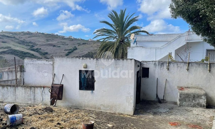 Farma in vendita a Tangeri: spazio agricolo sicuro di 7700 m² - view 2