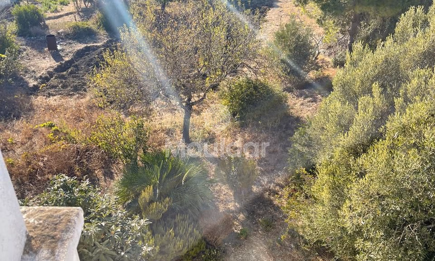 Farm for Sale in Tangier: Secured Agricultural Space of 7700m² Farm for Sale in Tangier: Secured Agricultural Space of 7700m²