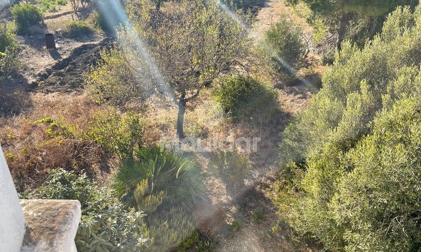 Farma in vendita a Tangeri: spazio agricolo sicuro di 7700 m² - view 5