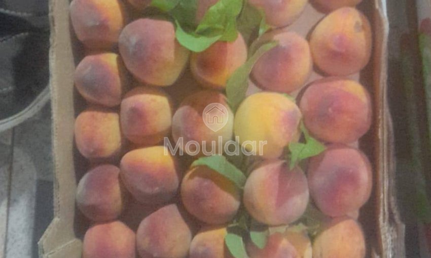 Ferme de vânzare în Fez: 25.000 m² de terenuri - view 2