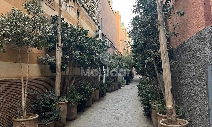 Dream House in Marrakech: 5 Bedrooms with Terrace