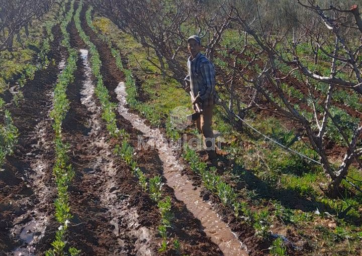 Fermes à Vendre à Fès : 25 000 m² de Terres Fermes à Vendre à Fès : 25 000 m² de Terres