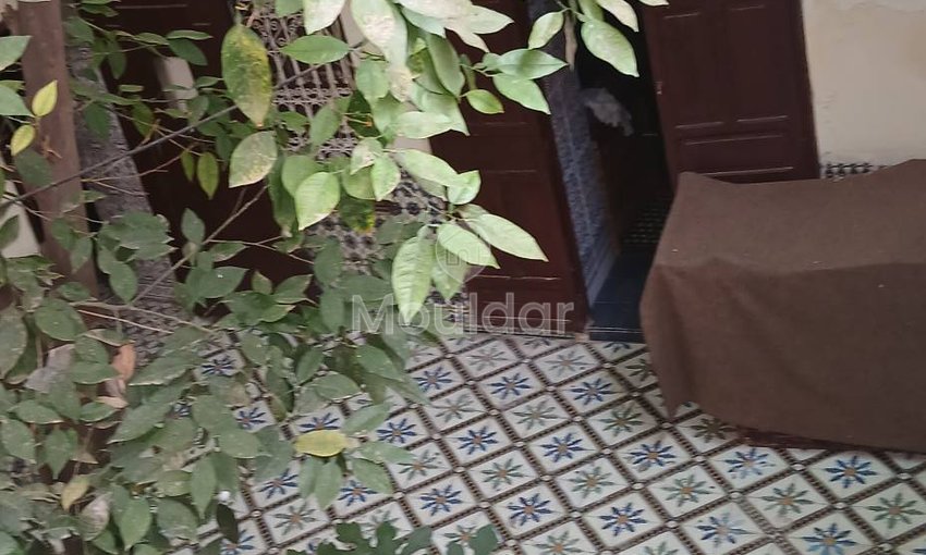 Riad mélkia προς πώληση, Μαρακές: Χαρακτηριστικό και εξαιρετικός χώρος - view 7