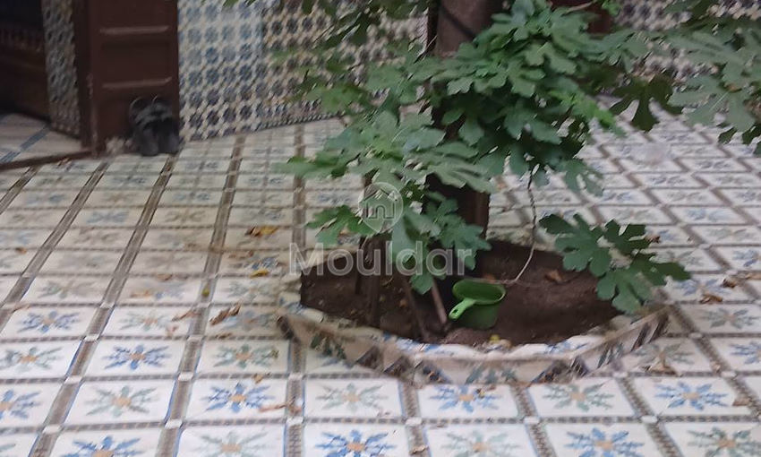 Riad en Venta en Marrakech: Encanto y Espacio Excepcional