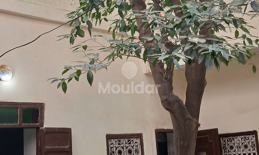 Riad en Venta en Marrakech: Encanto y Espacio Excepcional