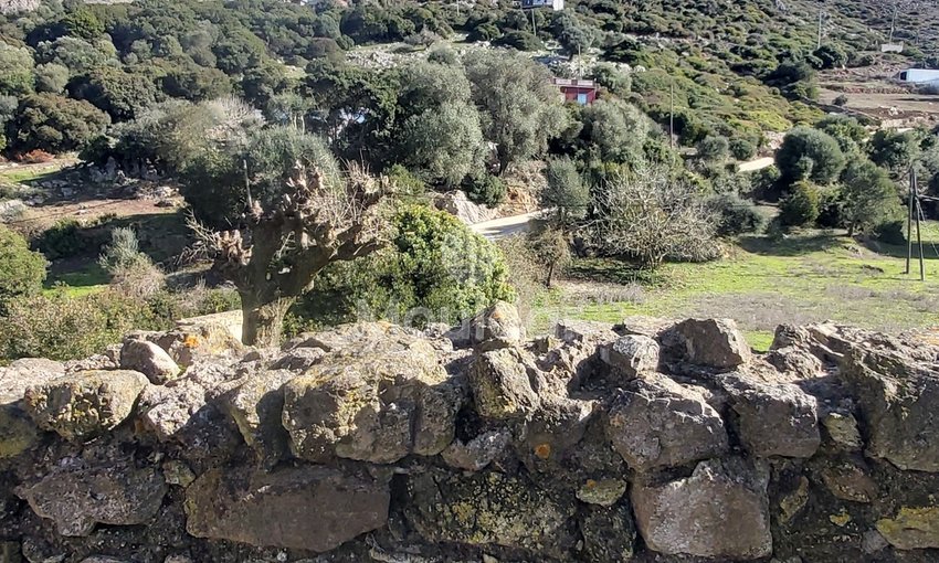 Πωλείται, ένα μοναδικό ακίνητο στην Taghramt (Al-Ansar) - 6000 m² δυνατότητες - view 6