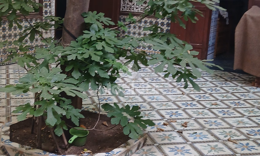 Riad en Venta en Marrakech: Encanto y Espacio Excepcional