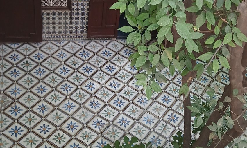 Riad mélkia προς πώληση, Μαρακές: Χαρακτηριστικό και εξαιρετικός χώρος - view 9