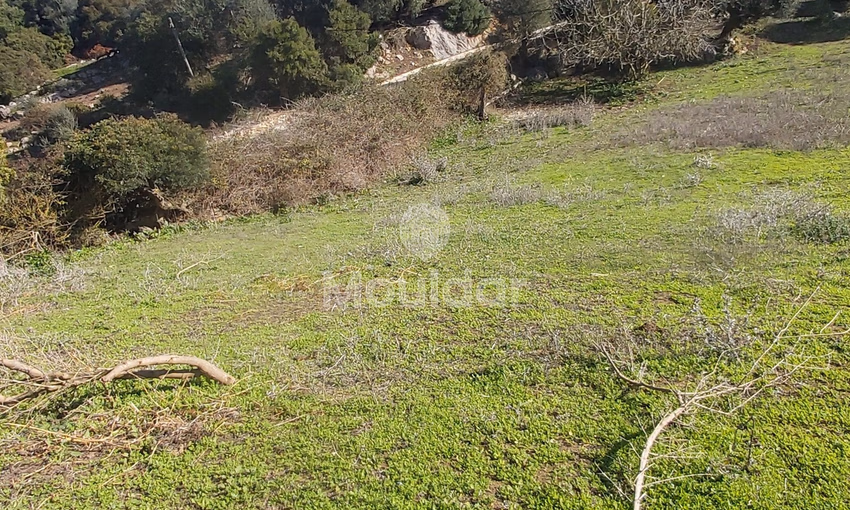 Maison Spacieuse à Vendre à Tanger - 6000 m² de Possibilités