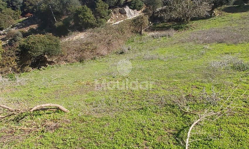 Πωλείται, ένα μοναδικό ακίνητο στην Taghramt (Al-Ansar) - 6000 m² δυνατότητες - view 3