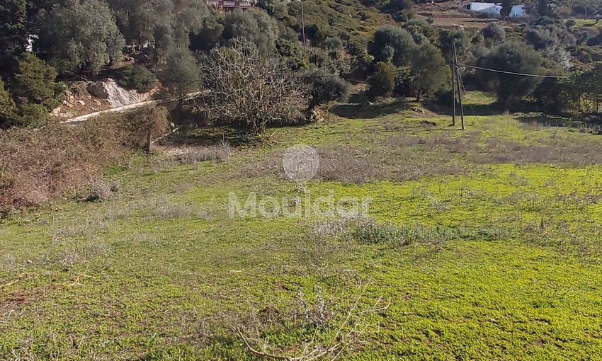 Maison Spacieuse à Vendre à Tanger - 6000 m² de Possibilités