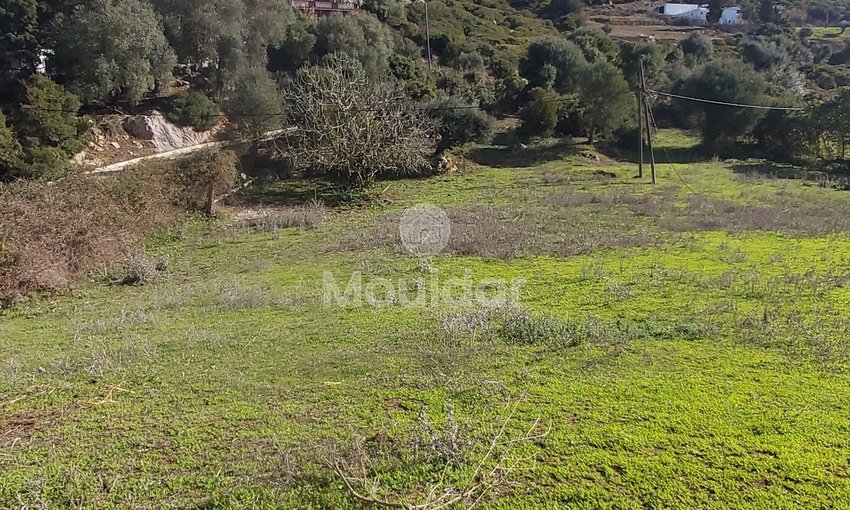 Πωλείται, ένα μοναδικό ακίνητο στην Taghramt (Al-Ansar) - 6000 m² δυνατότητες - view 5