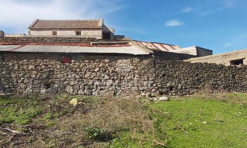 Πωλείται, ένα μοναδικό ακίνητο στην Taghramt (Al-Ansar) - 6000 m² δυνατότητες - view 2