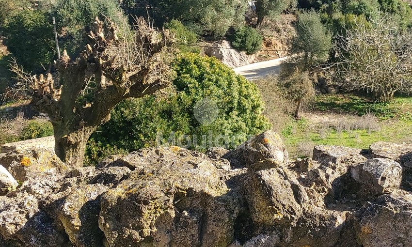 Πωλείται, ένα μοναδικό ακίνητο στην Taghramt (Al-Ansar) - 6000 m² δυνατότητες - view 4