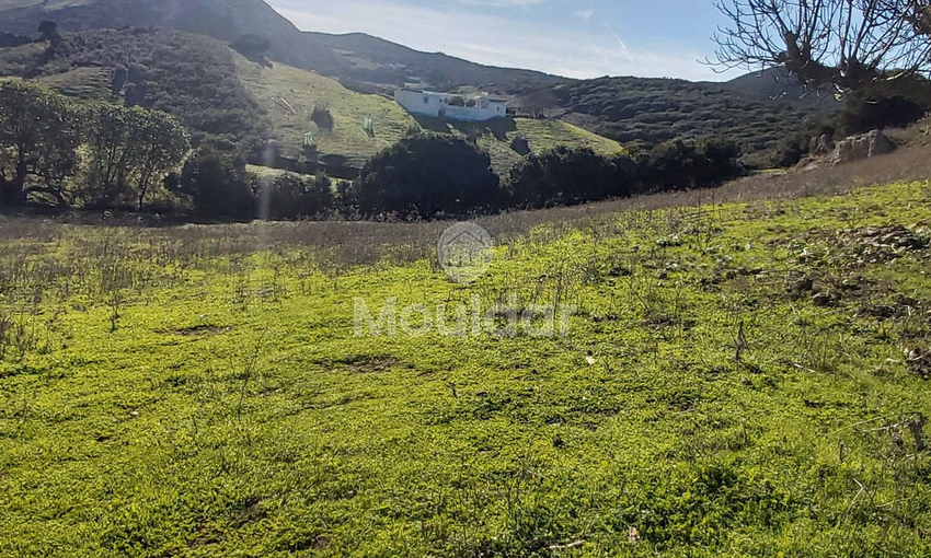 Maison Spacieuse à Vendre à Tanger - 6000 m² de Possibilités