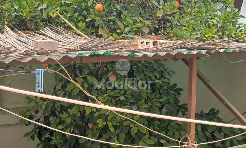 Riad en Venta en Marrakech: Encanto y Espacio Excepcional