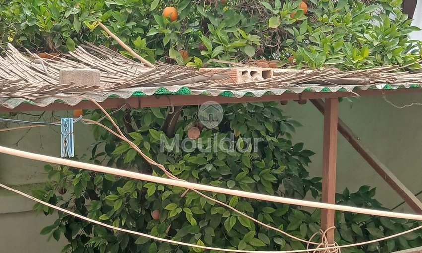 Riad mélkia προς πώληση, Μαρακές: Χαρακτηριστικό και εξαιρετικός χώρος - view 15