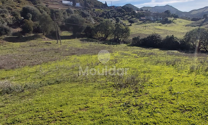 Maison Spacieuse à Vendre à Tanger - 6000 m² de Possibilités