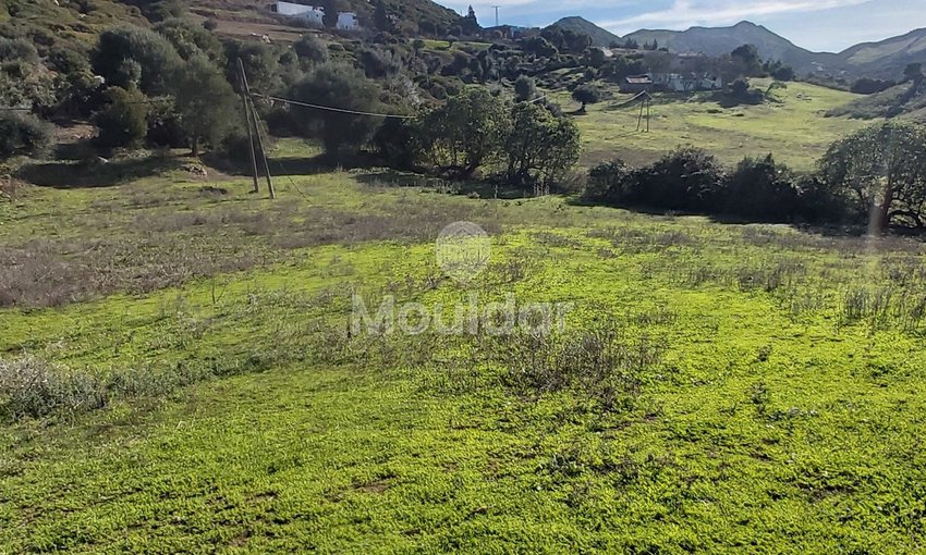 Πωλείται, ένα μοναδικό ακίνητο στην Taghramt (Al-Ansar) - 6000 m² δυνατότητες - view 7