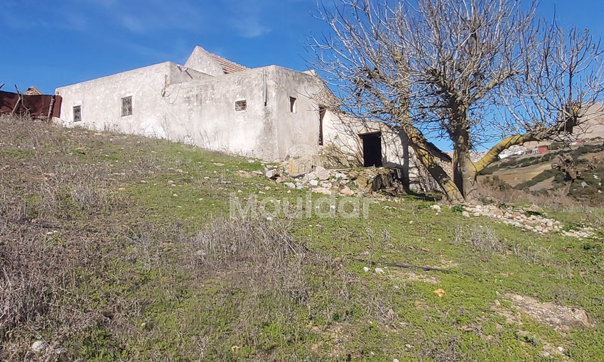 Maison Spacieuse à Vendre à Tanger - 6000 m² de Possibilités