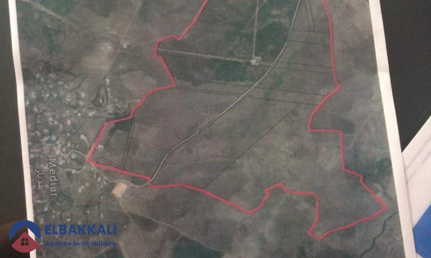Agricultural Land Title for Sale in Tangier 183ha - view 2