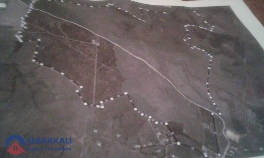 Agricultural Land Title for Sale in Tangier 183ha - view 5