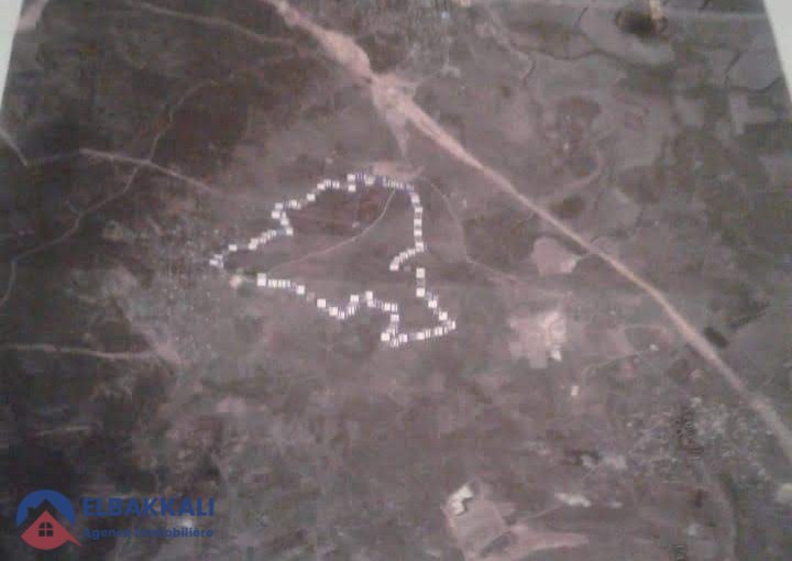 Agricultural Land Title for Sale in Tangier 183ha - view 4