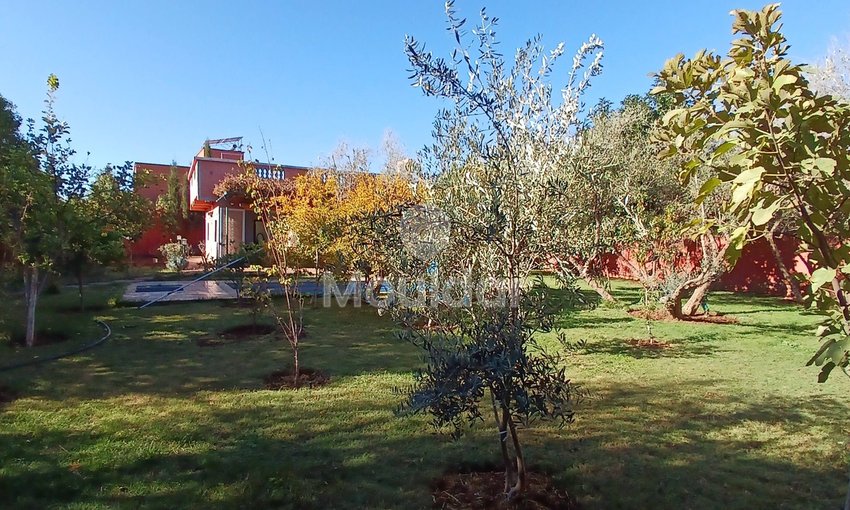 Dream Villa in Marrakech: Pool, Garden, and Luxury Terrace - view 16