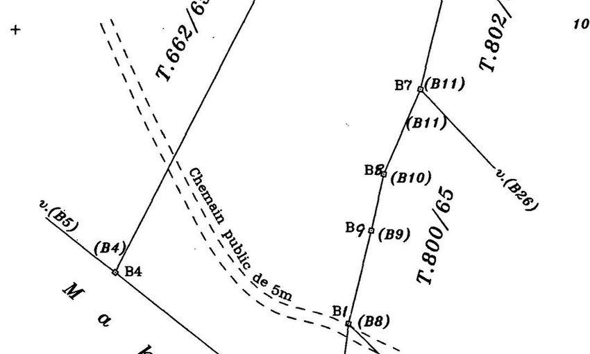 Agricultural Land for Sale: 10,000 m² in Marrakech - view 3