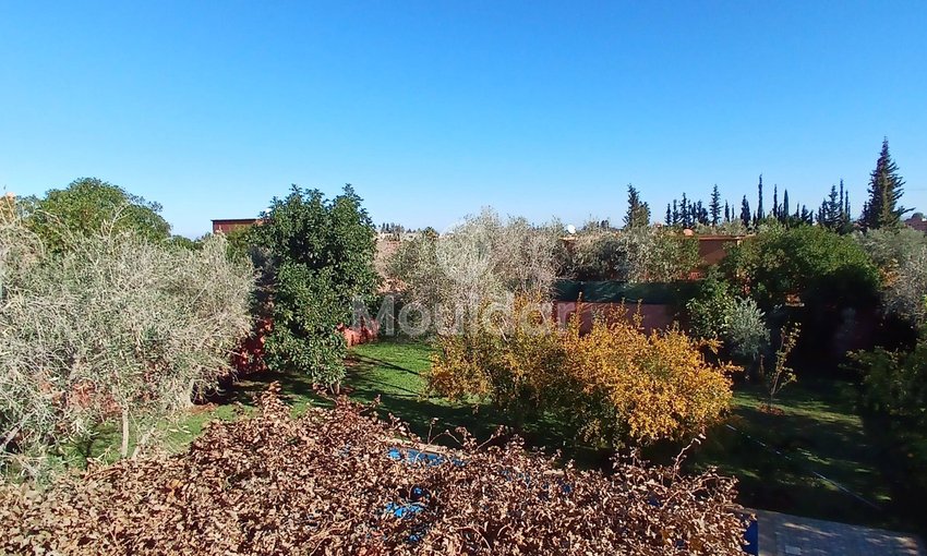 Dream Villa in Marrakech: Pool, Garden, and Luxury Terrace - view 11