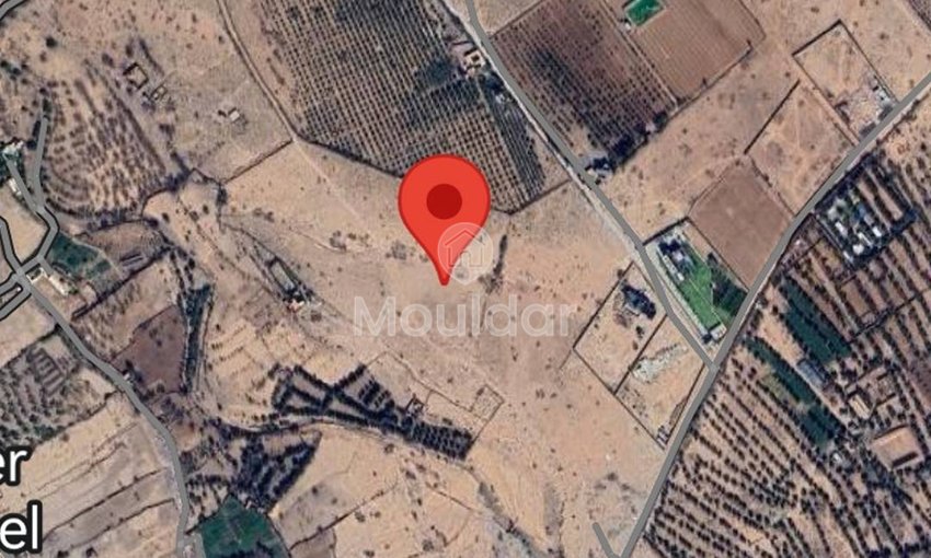 Agricultural Land for Sale: 10,000 m² in Marrakech - view 2