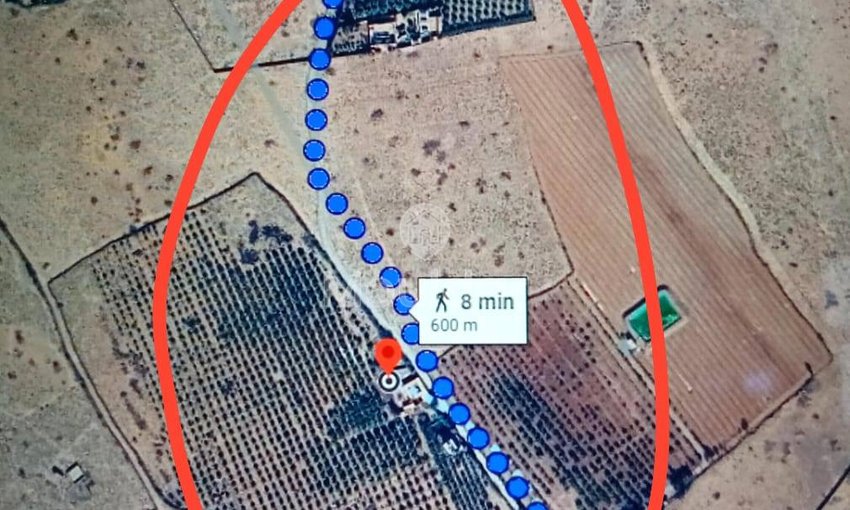 Agricultural Land for Sale: 10,000 m² in Marrakech - view 5