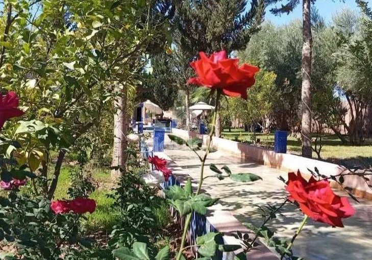 Villa de Exceção em Marrakech: Luxo, Piscina e Conforto - view 6