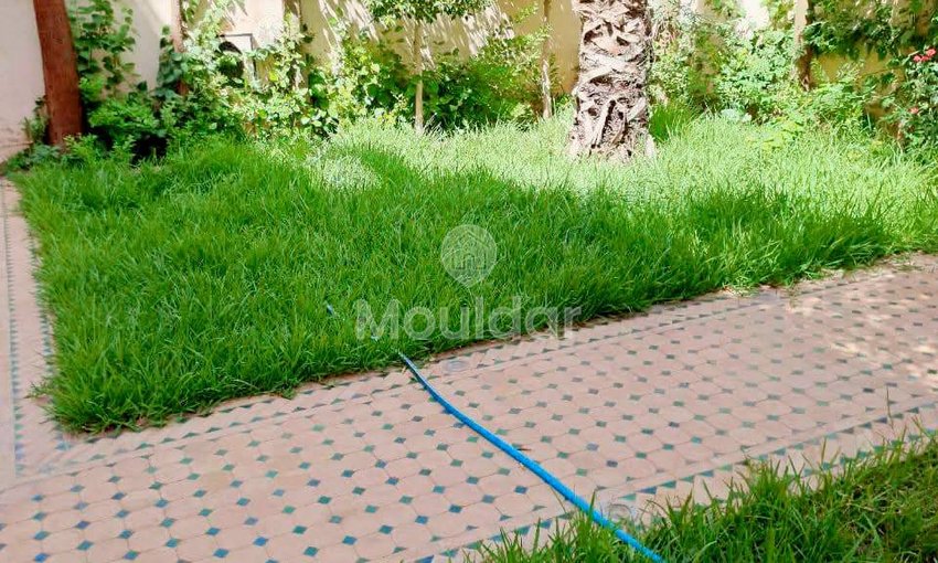 Elegancka Willa na Sprzedaż w Marrakeszu - Oaza Komfortu - view 5