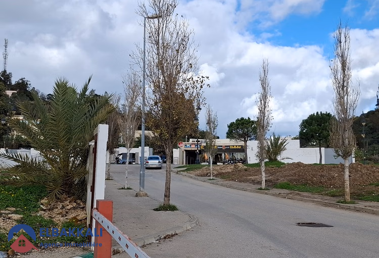 Magnificent land for villa in Tangier Boukhalef