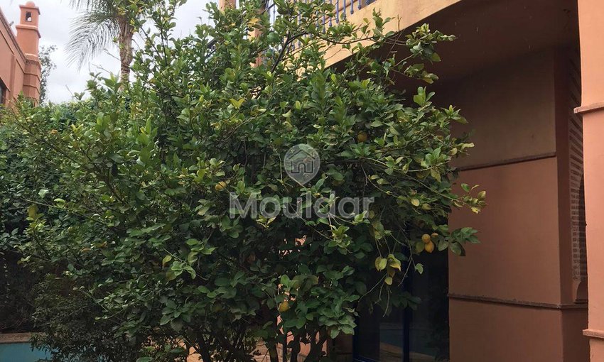 Villa Lussuosa a Marrakech: 5 Camere, Piscina e Sicurezza - view 13